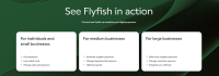 Flyfish Review -  a Payroll Management Service with Handy Offerings